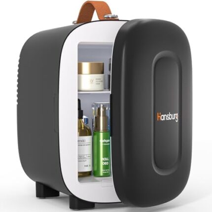 Small Portable Mini Fridge